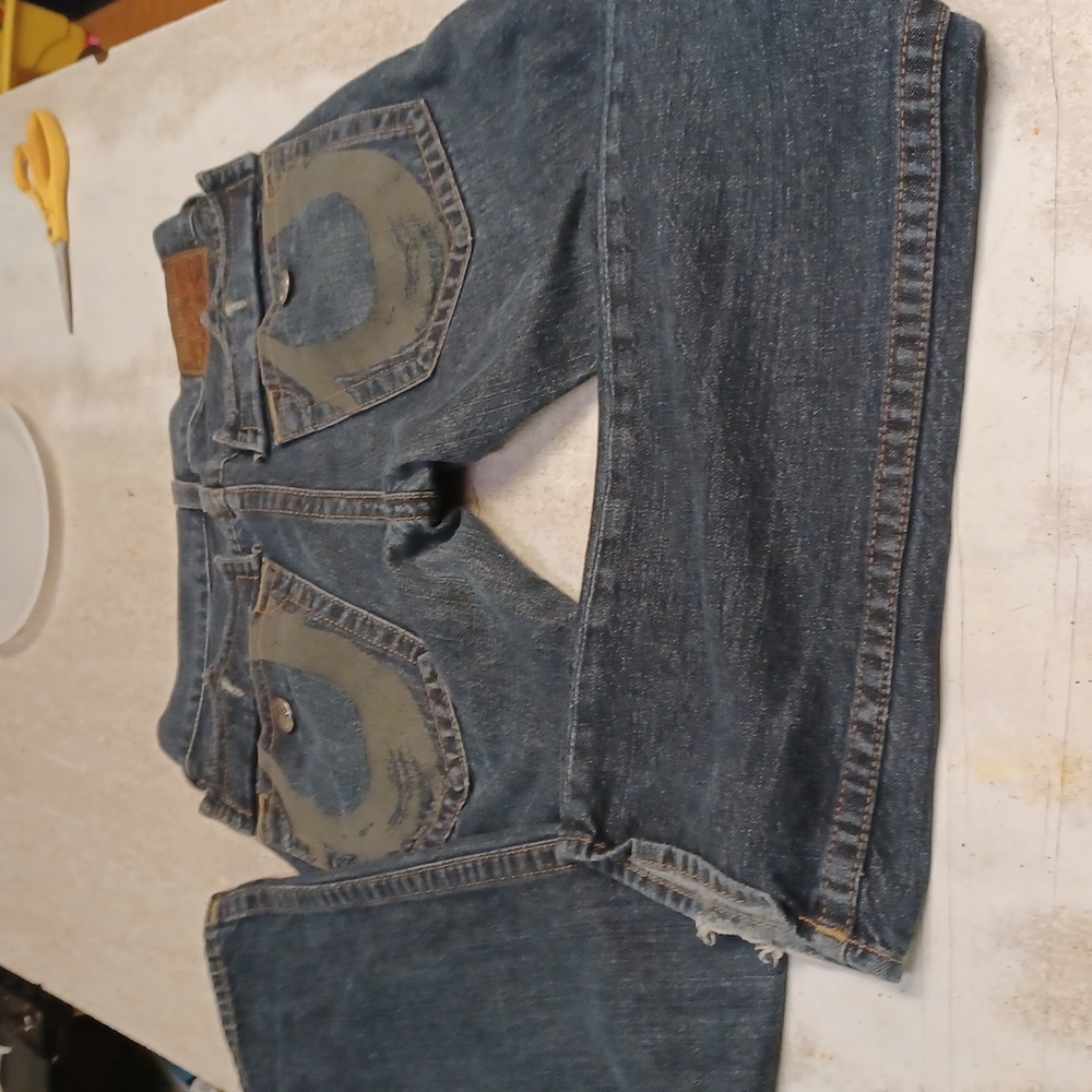 True Religion Pants